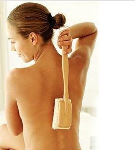luffa sponge