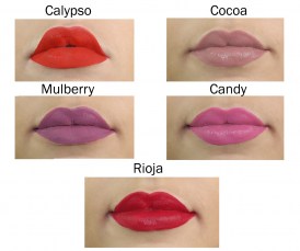 cougar-individual-24hr-liquid-lipstick2