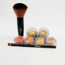 cougar-mineral-make-up-8pc-starter-kit-in